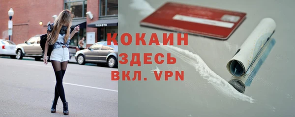 твердый Зеленодольск